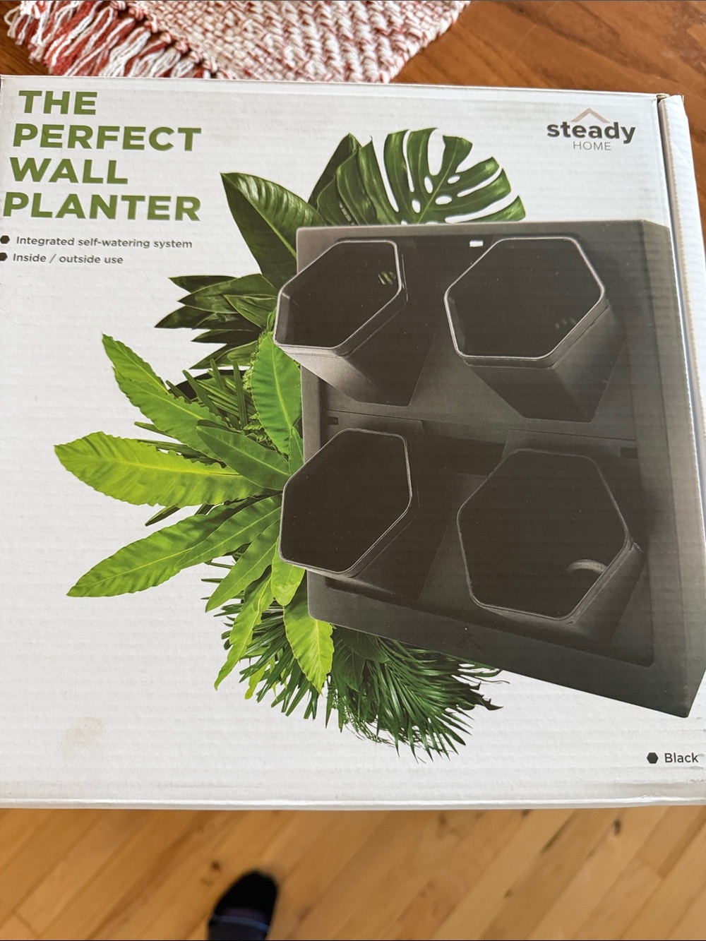 Steady Home Black Wall Planter - The Perfect Wall Planter